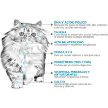 Nupec Alimento para Gatito, 3 kg - Azul - Ver 2