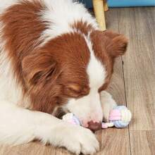 3色咀嚼玩具哑铃，简约实用多功能