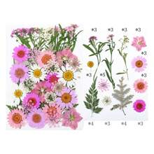 30/40Pcs 1 Set Dried Pressed Leaves Dried Flowers For Resin Real Assorted Dried Greenery For Pressed Leaf Art Craft DIY Handmade Bookmarks Embellishment Decorations