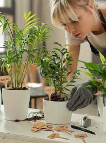 10/20/50 Piezas Etiquetas de jardín de bambú resistentes al agua, marcadores de plantas - Etiquetas con forma de T, adecuadas para plantas de exterior e interior, semilleros, verduras, viveros, granja. Fáciles de escribir, etiquetas de jardín resistentes a la intemperie