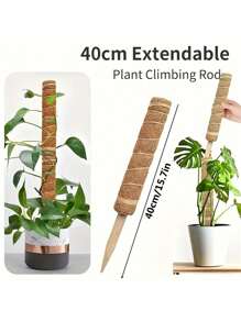 1 件龟背竹苔藓杆，可调节植物支撑杆，室内盆栽植物支架，15.7 英寸椰壳纤维杆，适用于苔藓、绿萝和其他攀缘植物