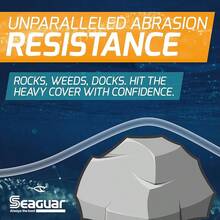 Seaguar - Líder de Pesca de fluorocarbono en la , Fuerte y Altamente Resistente a la abrasión, excelente Resistencia al Impacto y al Nudo, hundimiento rápido y prácticamente Invisible bajo el - 25 libras/100 yardas - Ver 7