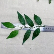 18/36 piezas de ramas artificiales de hojas de sauce, plantas verdes falsas de plástico para decoración del hogar, manualidades DIY, decoración de bodas y fiestas, decoración de mesa, festividades estacionales como Pascua, Día de la Madre, vuelta al colegio, decoración multiusos para todo tipo de habitaciones