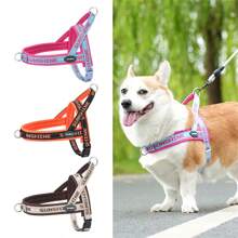 Harnais pour chien à sangle réglable avec lettrage à la mode - Anti-étouffement, Anti-Fuite, Boucle à dégagement rapide, Conception sans tension - Idéal pour la course et la marche, Harnais adapté aux petits, moyens et grands chiens - Multicolore - Voir 4