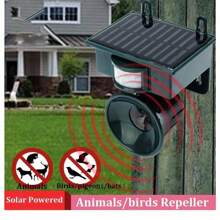 Solar - Powered Ultrasonic Repellent: Repel Birds, Deer, Cats, Dogs, Mice Effectively - Olive Green - View 1