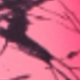 Pink Dyedie