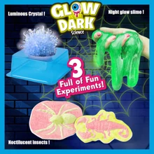 1盒3种不同玩法的科学实验玩具套装，可混合通过实验制作发光昆虫标本，DIY手工玩具套装，史莱姆套装，粘土套装，生日礼物，减压玩具，可激发对科学的兴趣