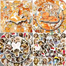 50 stuks Teckel Oranje Kat Knutselbenodigdheden & Stickers, Pet Friend Graffiti Stickers, Katten Hondenhok Decors, Scrapbook Stempels/Stickers, Anime Posters Vakantie Decors, Mode Liefde Voor Cadeaus Telefoons Laptops Notebooks, Lente, Buiten