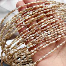 1 Peça de Contas de Pérola de Semente Bege em Forma de Pinguim Marinho, Contas de Pérola de Semente Multicolorida, 3*5mm, Adequada para Fazer Pulseiras e Colares Femininos, Adequada para Acessórios Feitos à Mão DIY