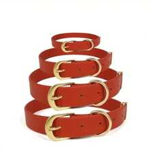 防水狗项圈，可调节狗项圈，易于清洁的橡胶狗项圈，带快速释放扣，适合小型、中型或大型犬