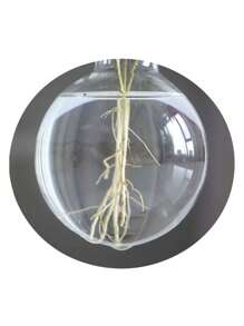 创意木制框架水培花瓶花盆，现代简约办公室玻璃桌面装饰，绿叶植物