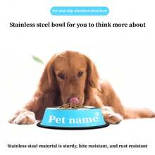 定制宠物碗，个性化宠物纪念雕刻，不锈钢防溢宠物碗，适用于狗和猫，单个食碗，大型犬防滑宠物用品 - 彩色 - 查看 6