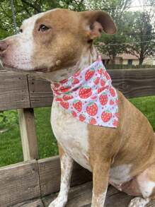 Strawberry Print Pet Bandana