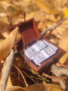 5张/10张/20张娃娃屋迷你美元纸币模型，迷你硬币场景套装，装饰配件和摆件，模拟100美元零花钱，迷你硬币，房间装饰，节日和派对礼物 - 彩色 - 查看 5