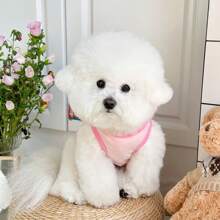 Nuovi stili primavera-autunno in stile Ins. Abbigliamento per animali domestici come cani e gatti. Gilet adatti per Teddy, Bichon Frise e Barboncini