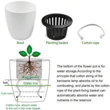 6Pcs Self Watering Pots With Cotton Rope For Indoor Plants 4.7 Inch Self Watering Flower Pot Decorative Garden PP Planter - 6 Pcs - View 3