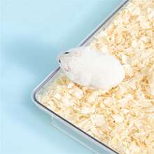 1pc Hamster Bedding Odor Absorbing Dust-Free Rabbit Guinea Pig Aspen Shavings Litter, For More Comfortable Pets