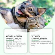 Yegbong  Pet Care Supplements Enhance Pet Health With Mild Ingredients