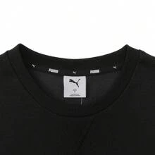 Puma 2025 Men's Basic Series Sweatshirt/Pullover Knit Hoodies 84957501
