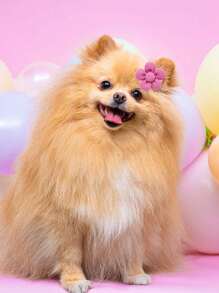 10 piezas de lazos elásticos con forma de flor de colores aleatorios para el pelo de mascotas perros y gatos, accesorios de peinado lindos para mascotas - Multicolor - Ver 5