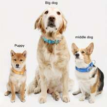 airskyce 户外狗项圈，适合中小型犬，松狮犬，柯基犬，博美犬颈带 - 黃色 - 查看 6