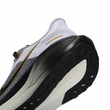 Nike 2025 Men's Air Zoom Pegasus 41 PRM Low-Top Running Shoes HQ2938-100