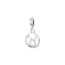 1pc 12 Zodiac Signs Collection Pendants & Charms(Aries/Taurus/Gemini/Cancer/Leo/Virgo/Libra/Scorpio/Sagittarius/Capricorn/Aquarius/Pisces) - Silver - View 11