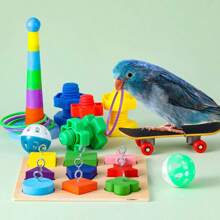 9PCS Papegaaienspeelgoed Bureau Training Speel Intelligent Interactief Belspeelgoed Geschikt voor Kleine & Middelgrote Papegaaien, Inclusief Skateboard, Ringen, Kauwspeelgoed