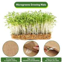 10pcs/Set Plant Growth Pads, Sprout And Seedling Cultivation Fiber Mat For Green Micro Seeds Hydroponics - Multicolor - View 2