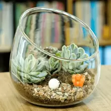 1 vază elegantă din sticlă teșită, poate fi folosită pentru cadouri de zi de naștere, decorarea camerei de zi, arta florilor hidroponice, decorarea camerei, decorarea dormitorului și decorarea casei