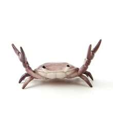 Creative Crab Mobile Phone Stand: Multi-Functional Desk Accessory For Phones, Pens, And Glasses - PVC Material - Multicolor - View 9