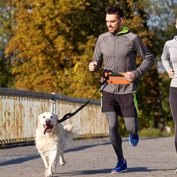 New Reflective Pet Running Waist Pack Leash, Elastic Dog Running Leash, Anti-Pulling & Short Lead