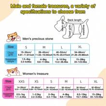 Pet Diapers, Female Dog Sanitary Pants, Male Dog Anti-Harassment Pads, Puppy Diapers - Multicolor - View 7