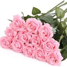 Rose bonbon