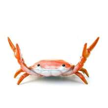 Creative Crab Mobile Phone Stand: Multi-Functional Desk Accessory For Phones, Pens, And Glasses - PVC Material - Multicolor - View 11