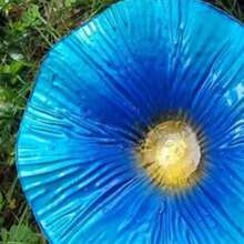 Bird Bath  Bowl Flower Shape Bird Feeder Plate Bird Bath Tray For Outdoors Yard Garden Decor - 寶藍色 - 查看 6