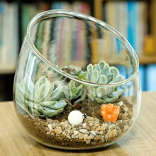 1 vază elegantă din sticlă teșită, poate fi folosită pentru cadouri de zi de naștere, decorarea camerei de zi, arta florilor hidroponice, decorarea camerei, decorarea dormitorului și decorarea casei