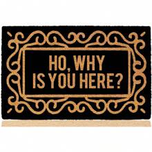 Ho Why Is You Here 24"X16" Door Mats Inside Indoor Non Slip For Outside Funny Holiday Doormats For Outdoor Entrance Home Front Door Entry Rugs For Entryway With Rubber Backing