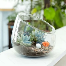 1 vază elegantă din sticlă teșită, poate fi folosită pentru cadouri de zi de naștere, decorarea camerei de zi, arta florilor hidroponice, decorarea camerei, decorarea dormitorului și decorarea casei