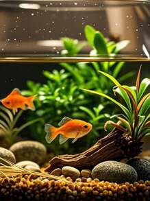 2件装水族箱沉木装饰，适用于鱼缸、龟缸、微景观、雨林/陆生缸造景 - 棕色 - 查看 7