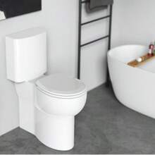 17英寸圆形塑料马桶座圈（雏菊白浴室装饰，夏季）