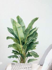 Pegatinas de pared de grandes hojas de palma, pegatinas de pared de hojas de Monstera y plantas tropicales para la sala de estar, murales de arte de plantas verdes, papel pintado vinílico para dormitorio, sala de estar, regalos, cumpleaños, graduación, decoración de habitaciones, decoración del hogar, decoración de paredes, decoración de baño, decoración de dormitorio, decoración de la habitación, decoración de la sala de estar, decoración de la casa, decoración del hogar, arte de pared de la sala de estar, papel tapiz