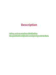 Set de 6 pasadores de pelo con diseños de dopamina, estrella, pentagrama, corazón y flor, accesorios de pelo de princesa simples y lindos, adecuados para uso diario para recoger y decorar el cabello