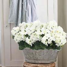 1/2 pièces - 5 branches / 1 bouquet - Fleur artificielle, géranium artificiel en fleur de soie, plante fausse. Décorations pour la maison, le jardin, le porche, l'intérieur et l'extérieur, le cimetière, les couronnes, les mariages et le jardin (couleur : rouge rubis)