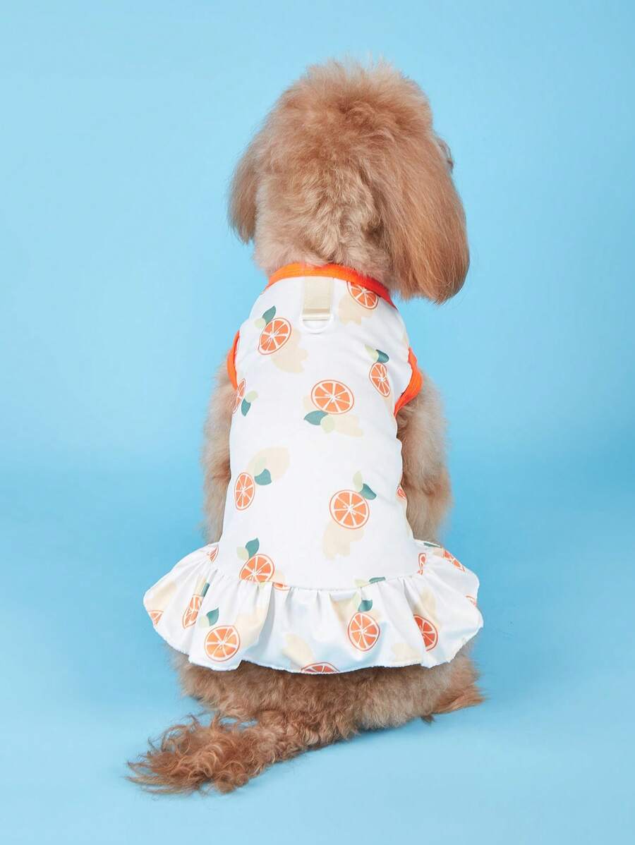 1pc Avocado Lemon Watermelon Banana Fruit Pattern With Leash Buckle Teddy Puppy Cat Dog Dress Clothing - Orange - View 1