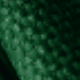 Dark Green 2pc