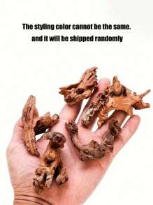 2件装水族箱沉木装饰，适用于鱼缸、龟缸、微景观、雨林/陆生缸造景 - 棕色 - 查看 2