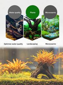 2件装水族箱沉木装饰，适用于鱼缸、龟缸、微景观、雨林/陆生缸造景 - 棕色 - 查看 5