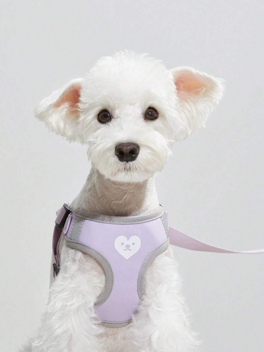 Petsin Purple Floral Pattern Pet Harness - Lilac Purple - View 1
