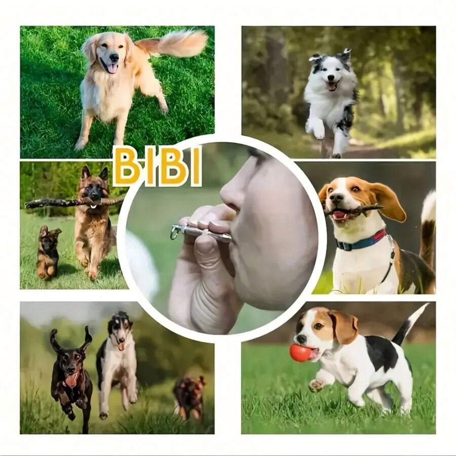 可调节音调狗哨，带钥匙扣，专业宠物训练哨，可制止吠叫，无需电池，银色 - 彩色 - 查看 1